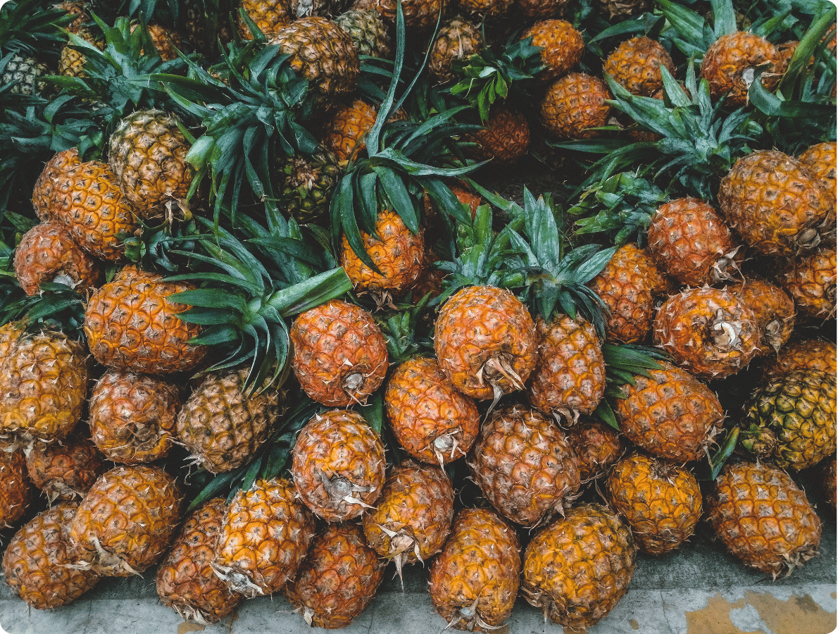 ananas 1
